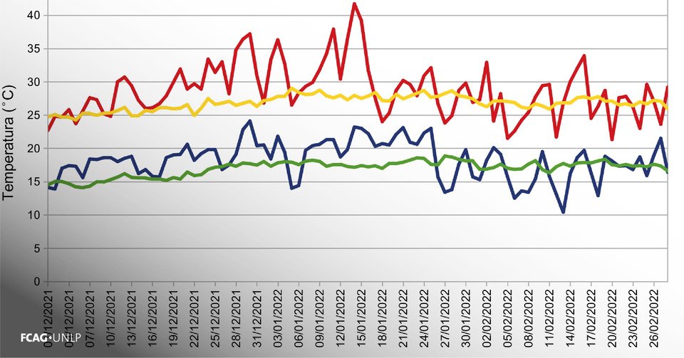 La imagen muestra un gráfico con temperaturas mínimas (azul) y máximas (rojo) diarias del verano de 2021 / 2022(diciembre, enero y febrero) y las correspondientes mínimas medias (verde) y máximas medias (amarillo) diarias del verano 1987 – 2017, para la estación La Plata Observatorio