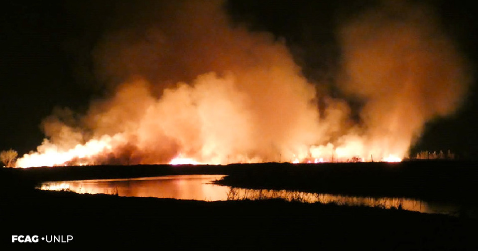 La imagen muestra los humedales incendiados